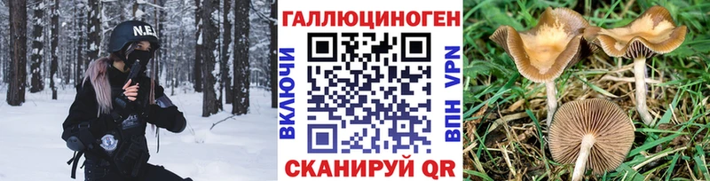 Псилоцибиновые грибы прущие грибы  Купить закладки  Унеча 